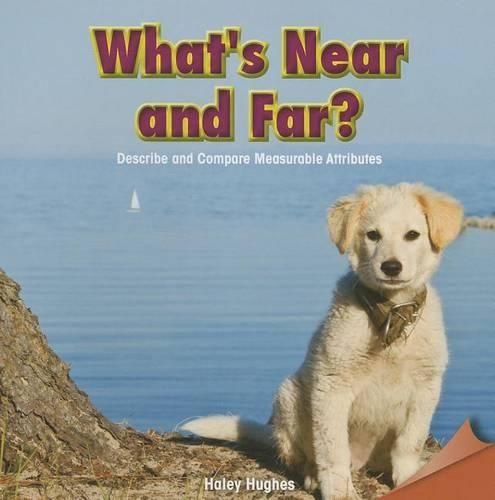 Cover image for What's Near and Far?: Describe and Compare Measurable Attributes