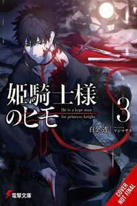 Cover image for The Kept Man of the Princess Knight, Vol. 3