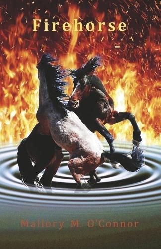 Cover image for Firehorse