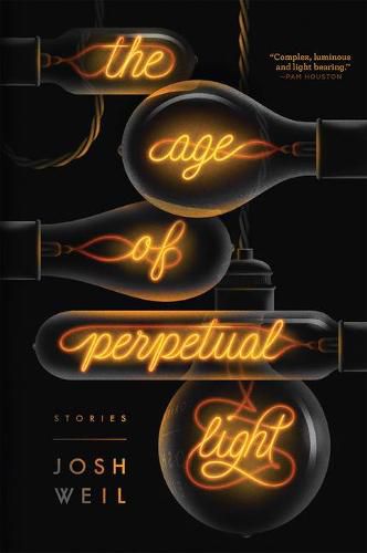 Cover image for The Age of Perpetual Light