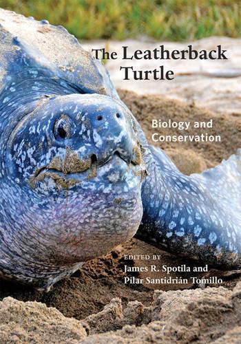 Cover image for The Leatherback Turtle: Biology and Conservation