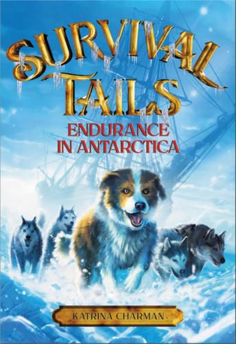 Cover image for Survival Tails: Endurance in Antarctica