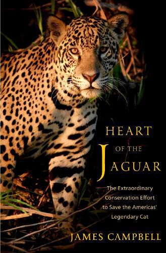 Cover image for Heart of the Jaguar