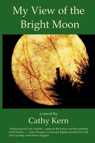 Cover image for My View of the Bright Moon