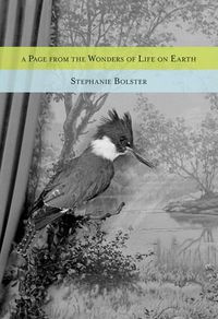 Cover image for A Page from the Wonders of Life on Earth