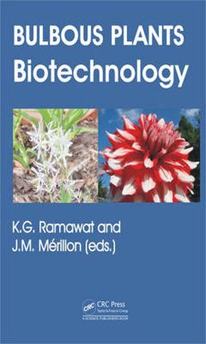 Cover image for Bulbous Plants: Biotechnology