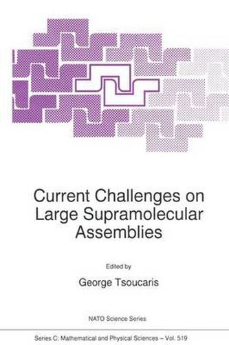 Cover image for Current Challenges on Large Supramolecular Assemblies: Proceedings of the NATO Advanced Research Workshop, Athens, Greece, 31 October-5 November 1997