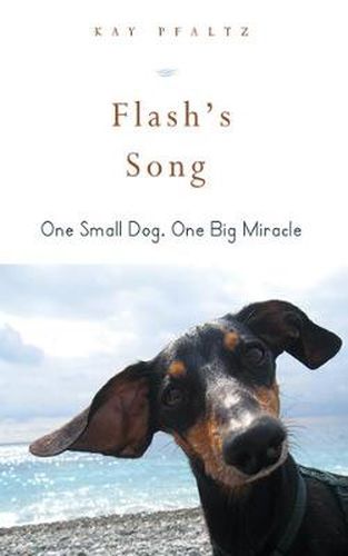 Cover image for Flash's Song: How One Small Dog Turned into One Big Miracle