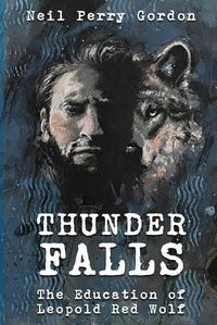 Cover image for Thunder Falls