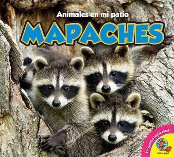 Cover image for Mapaches, With Code