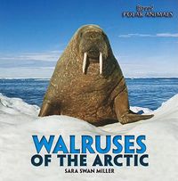 Cover image for Walruses of the Arctic