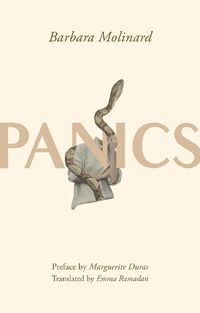 Cover image for Panics