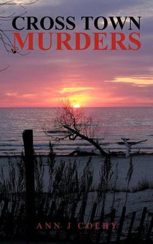 Cover image for Cross Town Murders