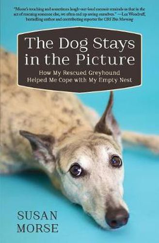 Cover image for The Dog Stays in the Picture: How My Rescued Greyhound Helped Me Cope with My Empty Nest