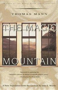 Cover image for The Magic Mountain