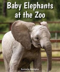 Cover image for Baby Elephants at the Zoo