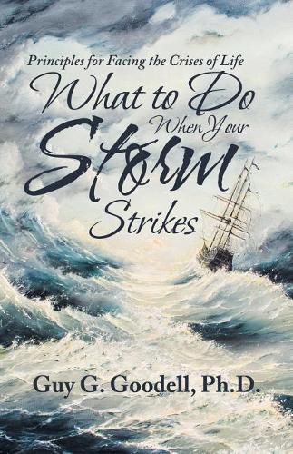 Cover image for What to Do When Your Storm Strikes: Principles for Facing the Crises of Life