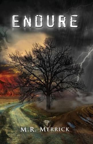 Cover image for Endure