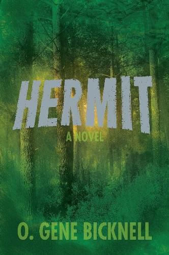 Cover image for Hermit: A Novel