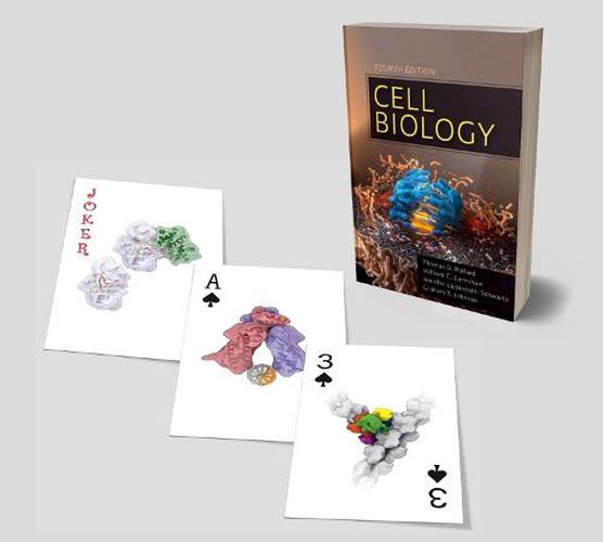 Cover image for Cell Biology Playing Cards
