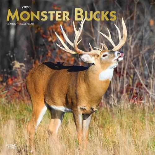 Monster Bucks 2020 Square Foil