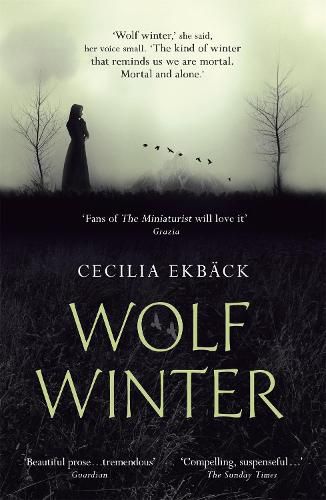 Cover image for Wolf Winter: Winner of the 2016 HWA Goldsboro Debut Crown Award