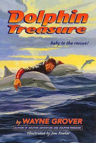 Cover image for Dolphin Treasure