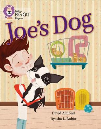 Cover image for Joe's Dog: Band 09 Gold/Band 12 Copper