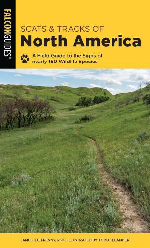 Cover image for Scats and Tracks of North America: A Field Guide To The Signs Of Nearly 150 Wildlife Species