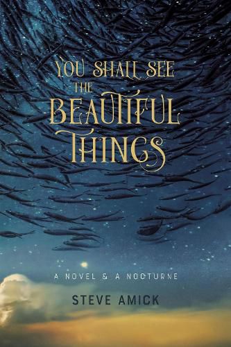 Cover image for You Shall See the Beautiful Things - A Novel & A Nocturne