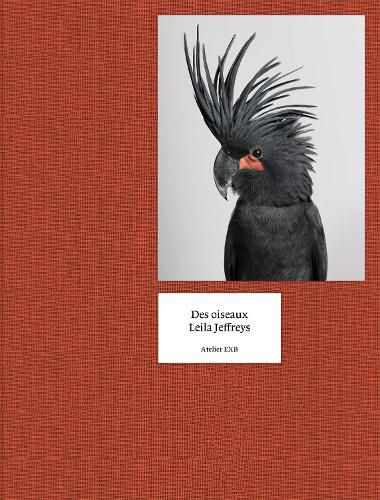 Cover image for On Birds Des Oiseaux