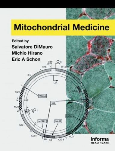 Cover image for Mitochondrial Medicine