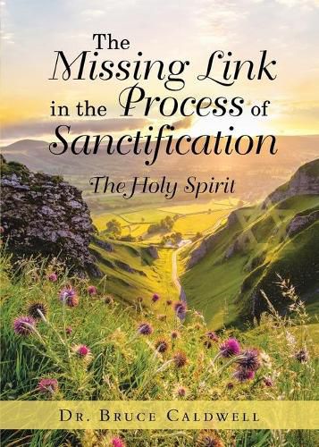 Cover image for The Missing Link in the Process of Sanctification: The Holy Spirit