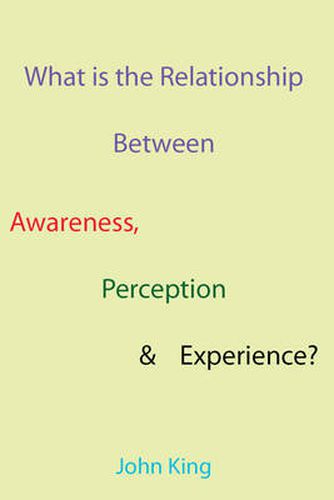 Cover image for What is the Relationship Between Awareness, Perception & Experience?