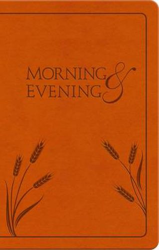 Cover image for Morning and Evening