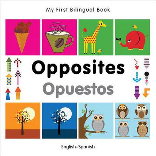 Cover image for My First Bilingual Book -  Opposites (English-Spanish)