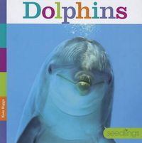 Cover image for Dolphins