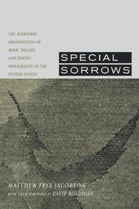 Cover image for Special Sorrows: The Diasporic Imagination of Irish, Polish, and Jewish Immigrants in the United States