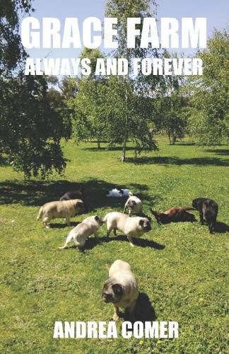 Cover image for Grace Farm Always and Forever