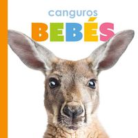 Cover image for Canguros Bebes