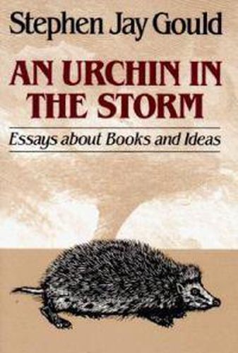 Urchin in the Storm
