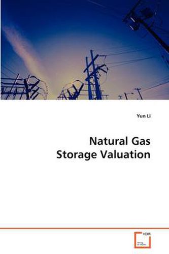 Cover image for Natural Gas Storage Valuation