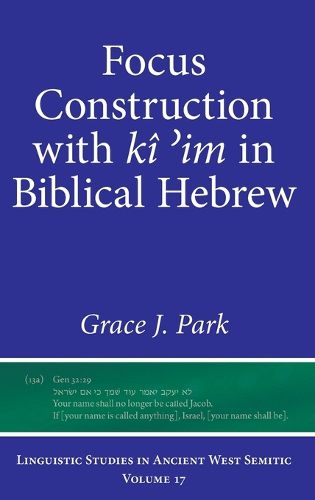 Cover image for Focus Construction with ki ?im in Biblical Hebrew