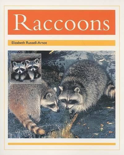 Cover image for Racoons: Individual Student Edition Gold (Levels 21-22)