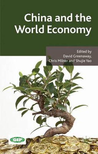 Cover image for China and the World Economy