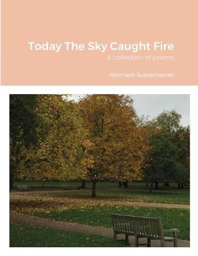 Cover image for Today The Sky Caught Fire