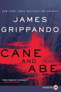 Cover image for Cane and Abe [Large Print]