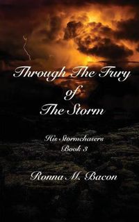 Cover image for Through The Fury of The Storm