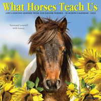 Cover image for What Horses Teach Us 2025 12 X 12 Wall Calendar