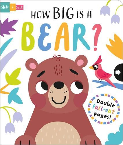 Cover image for How Big is a Bear?